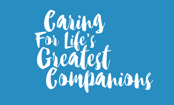 VCA Canada Bells Corners Animal Hospital