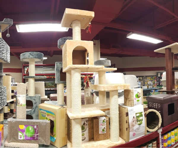 a pet store filled with lots of cat furniture.