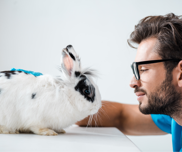 a man wearing glasses petting a small rabbit.