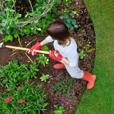 a young girl is digging in the garden.