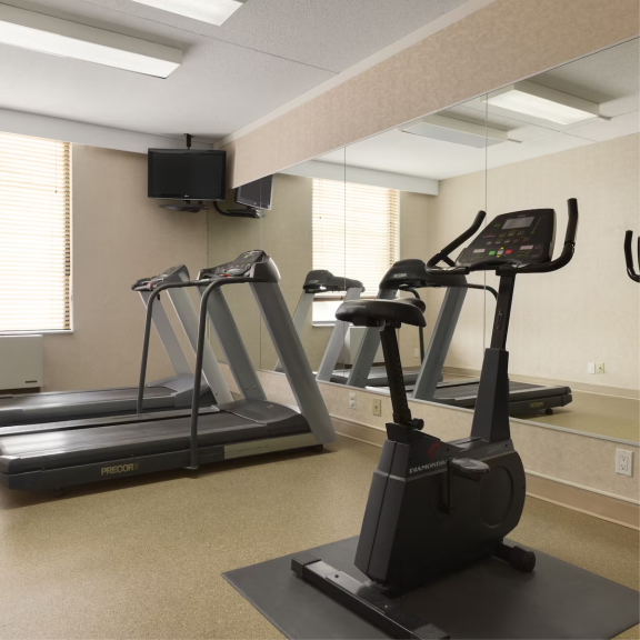 a row of treadmills in a gym.