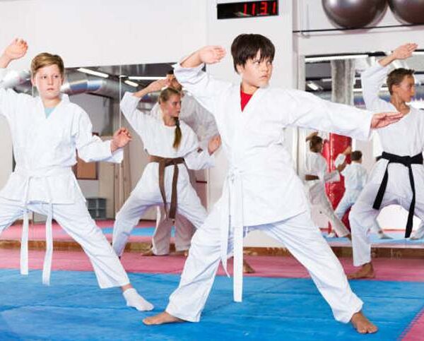 Endeavour Martial Arts