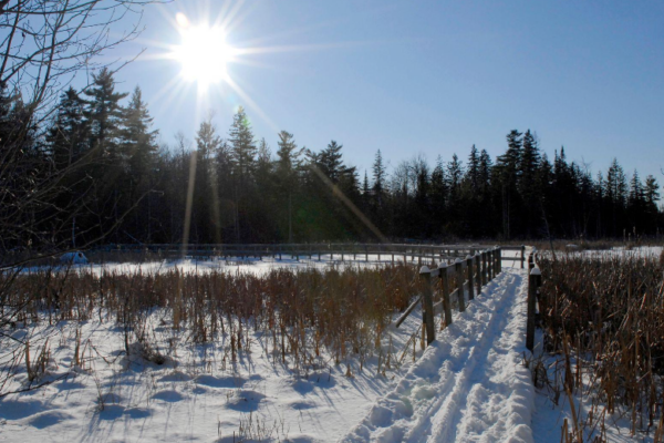 Snowshoeing and Skiing on our Winter Trails