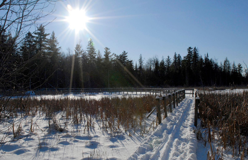 the sun is shining over a snowy field.