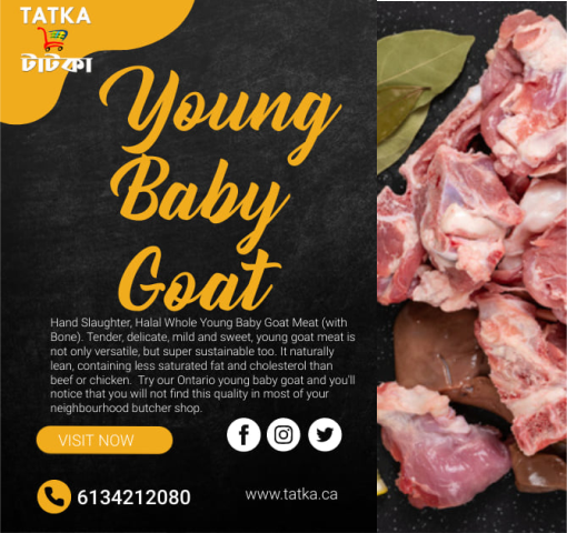 a flyer for baby goat meat