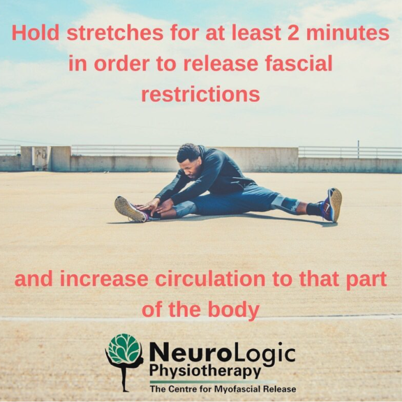 Hold stretches for at least two minutes in order to release fascial restrictions and increase circulation to that part of the body