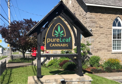 Pure Leaf Cannabis