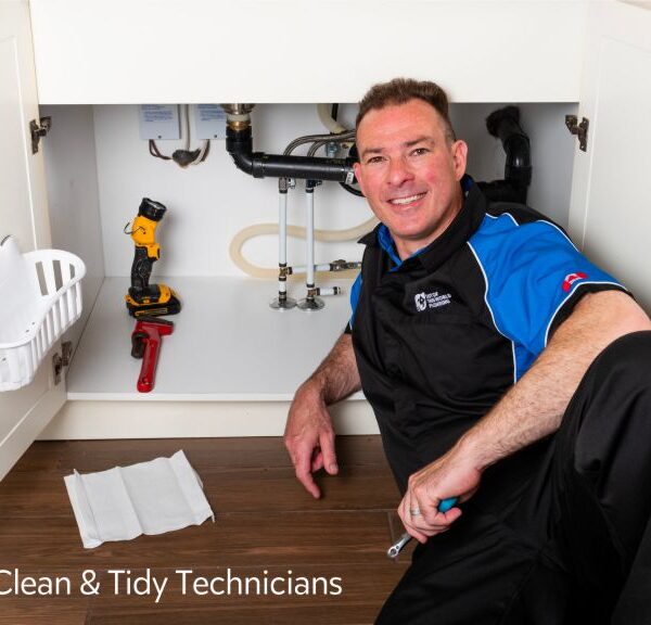 Clean and Tidy technicians