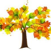 A tree with colorful leaves on a white background.