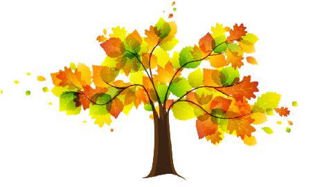 A tree with colorful leaves on a white background.