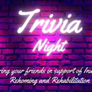 A poster with the words trivia night and a brick wall.