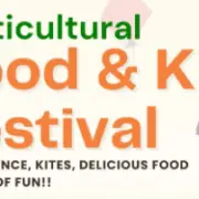 Multicultural Food & Kite Festival poster featuring a bright design with colorful kite illustrations and text promoting music, dance, kites, delicious food, and lots of fun.