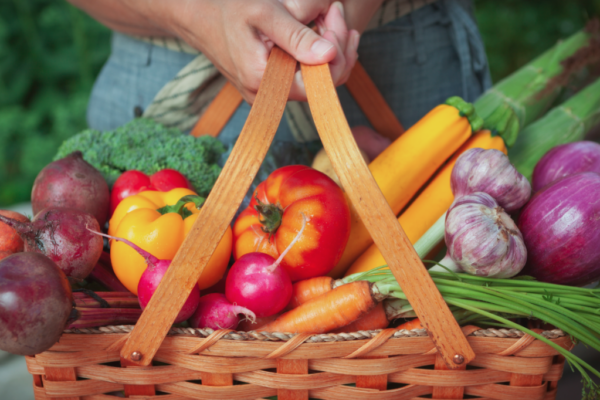 Bells Corners Community Garden