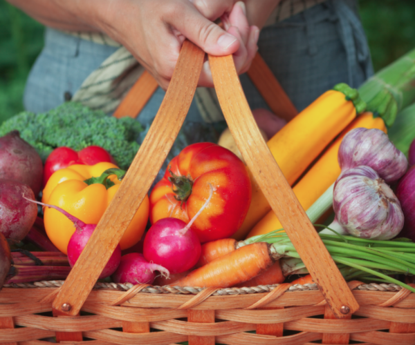 Bells Corners Community Garden