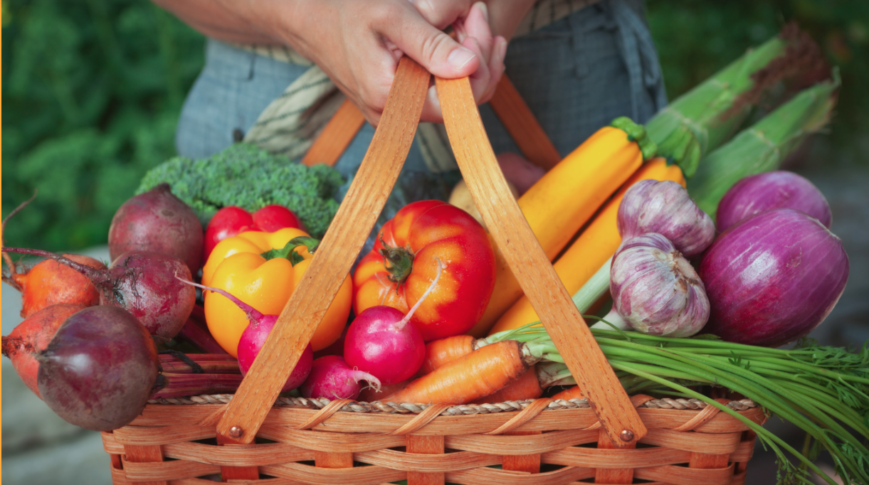 Bells Corners Community Garden